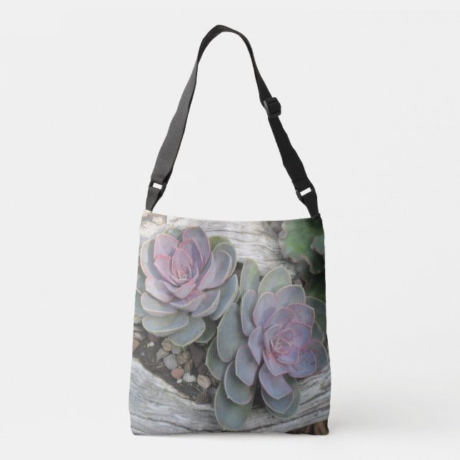 Sac Ajustable Succulent d'Echeveria (Dos)