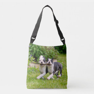 Sac Ajustable Sympa drôles Boston Terrier chiens chiots jouer -