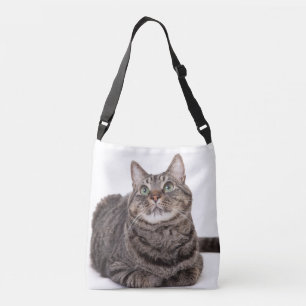 Sac Ajustable Tabby gris