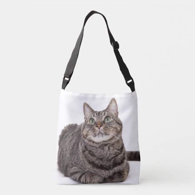 Sac Ajustable Tabby Gris (Dos)