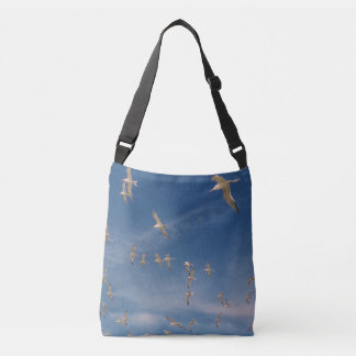Sac Ajustable Terres