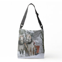 Tour de Sleigh au pays des merveilles d'hiver