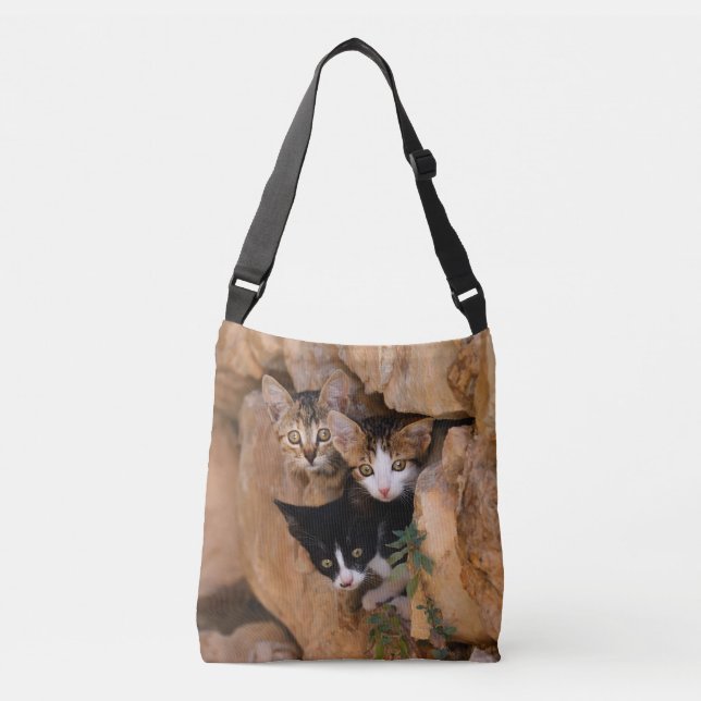 Sac Ajustable Trois Cute Curious Chat Kittens Funny Photo (Devant)