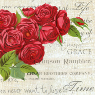 Sac Ajustable Vintage Shabby Chic Roses Rouges Antique Script