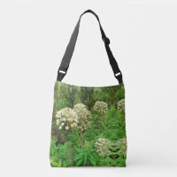 Wilderness, Nature, Photographie Plante Fourre-tou