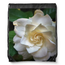 Fleur Gardenia blanche