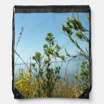Plantes sauvages et fleurs au Grand Teton National
