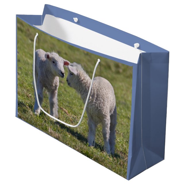 Sac Cadeau Agneaux de Printemps (Devant Angle)