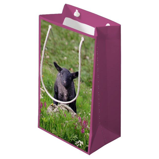 Sac cadeau Baa Baa Black Sheep (Devant Angle)