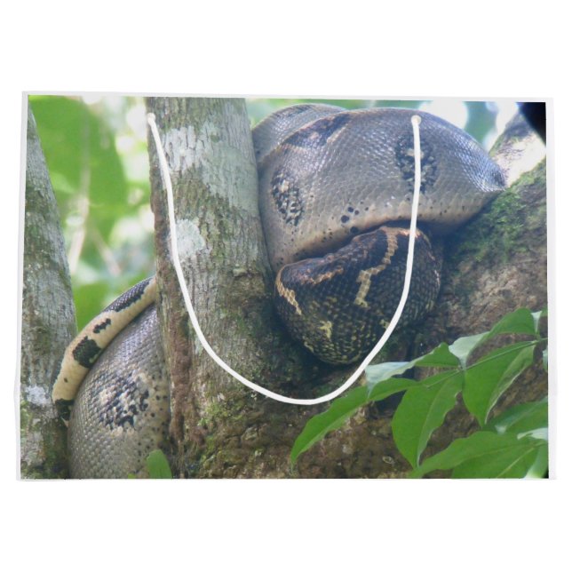 Sac Cadeau Boa Constrictor (Dos)