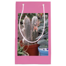 Sac cadeau Cactus