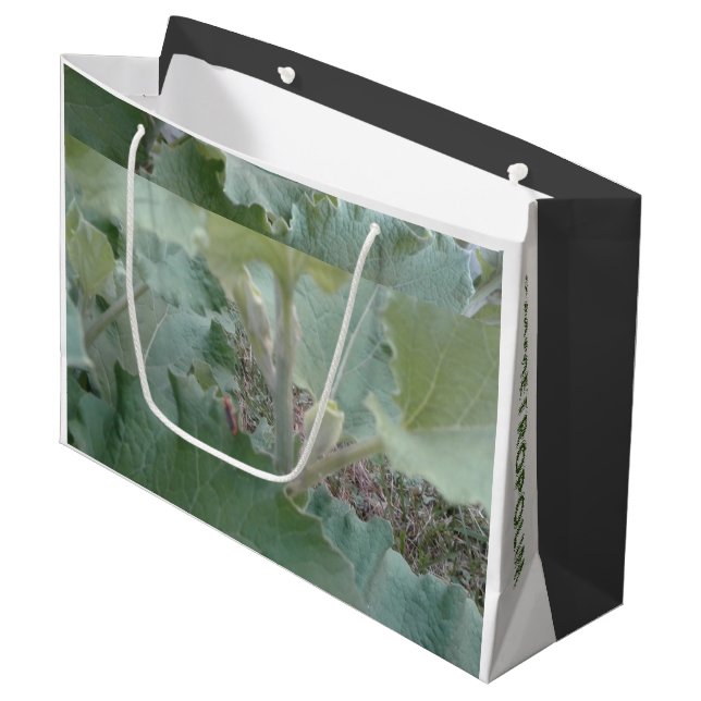 Sac cadeau/Carte/ MMETROPOLIM NATURE DESIGN Grand  (Devant Angle)