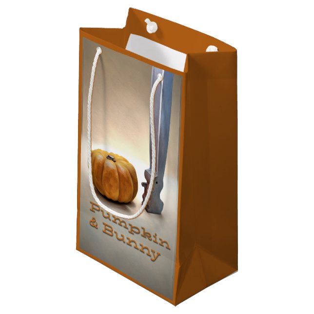 Sac cadeau citrouille et lapin (Devant Angle)