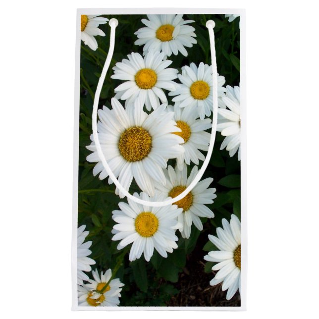 Sac cadeau Daisy Delight (Devant)