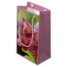 Sac cadeau d'anniversaire de la grappe d'orchidées