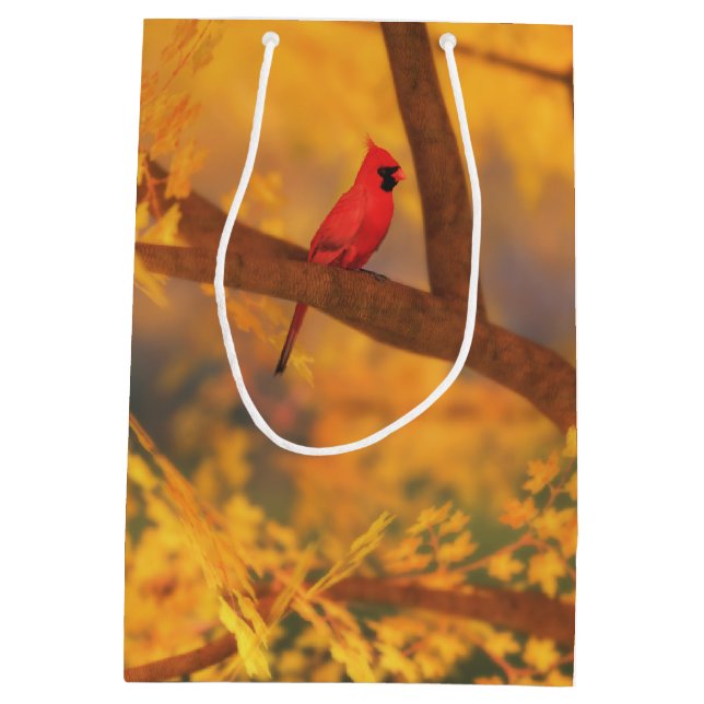 Sac cadeau du Gardien d'automne (Dos)