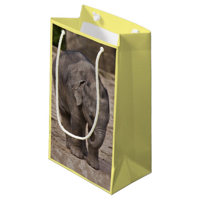Sac cadeau éléphant bébé (Devant Angle)