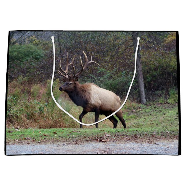 Sac cadeau Elk (Devant)