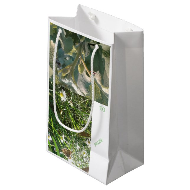 Sac cadeau/ÉTIQUETTE  mmetropolim design Petit Cad (Devant Angle)