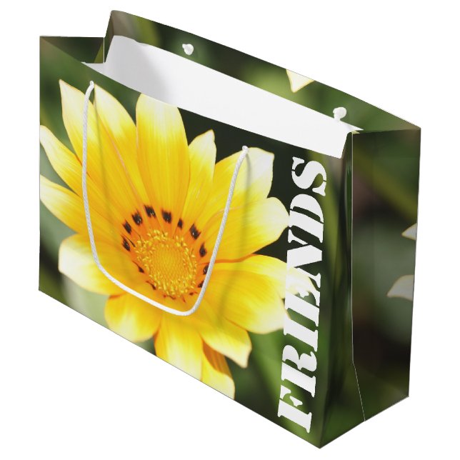 Sac cadeau Friends (Devant Angle)