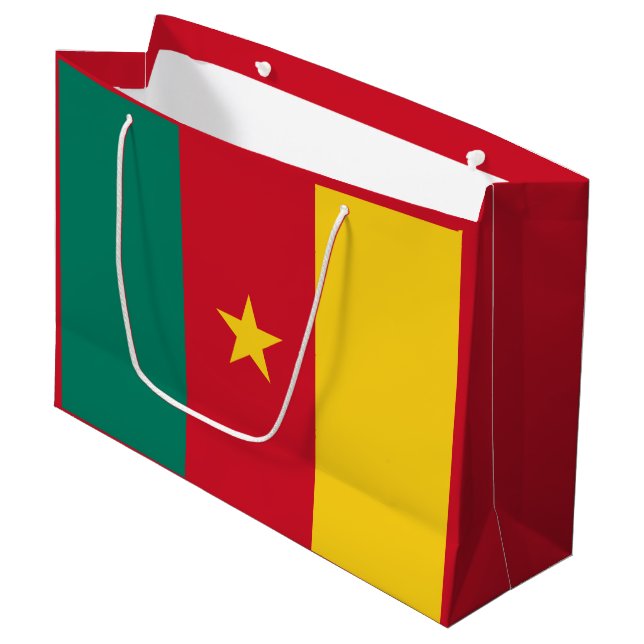 Sac Cadeau Grand Drapeau Patriotique Camerounais (Devant Angle)