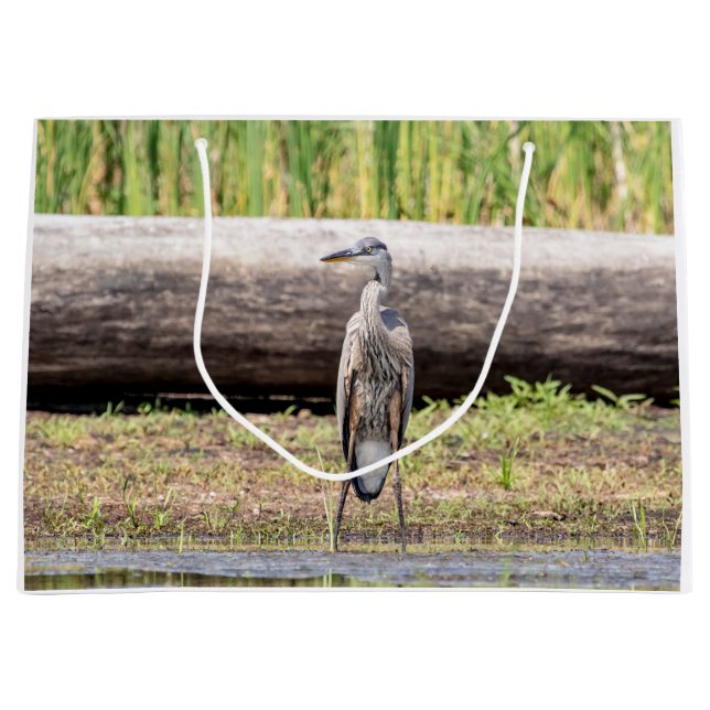 Sac Cadeau Grand Héron bleu debout dans le lac Champlain (Devant)