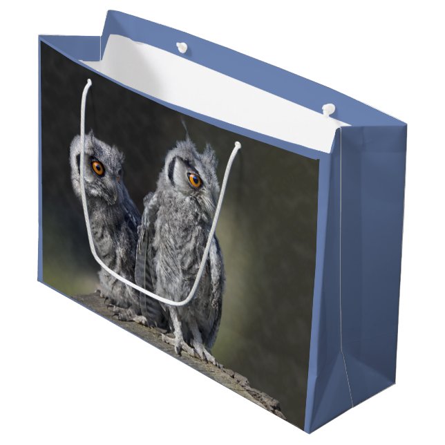 Sac Cadeau Hiboux Bébés (Devant Angle)