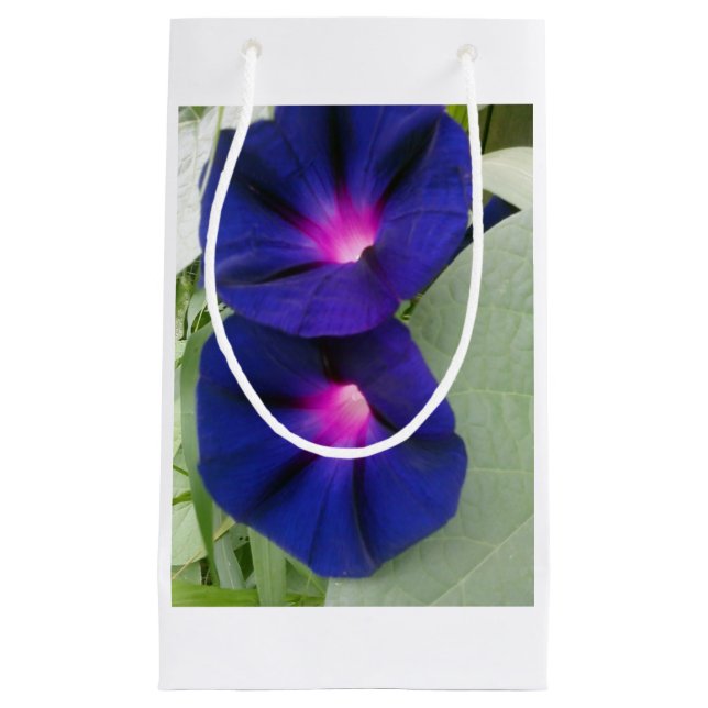 Sac Cadeau Morning Glory (Devant)