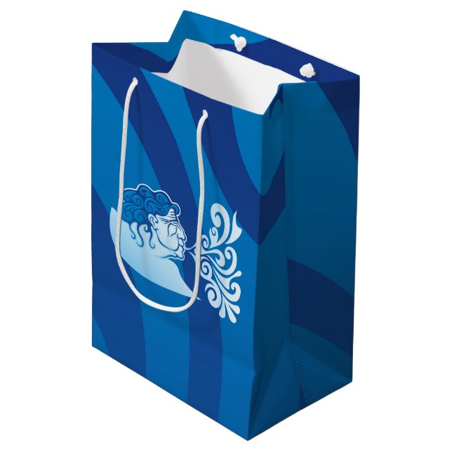 Sac Cadeau Moyen Aeolus (Devant Angle)