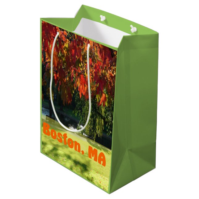 Sac Cadeau Moyen Affaire Foliage de Boston (Dos Angle)
