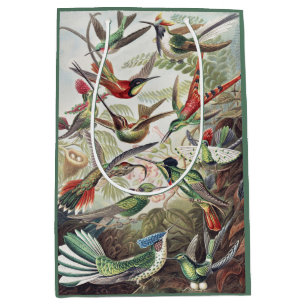 Sac Cadeau Moyen Affiche vintage d'Ernst Haeckel sur les colibris c