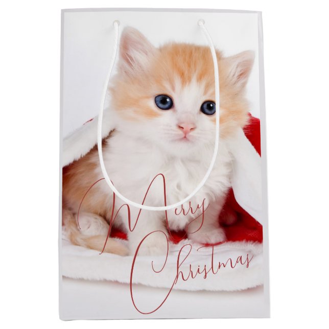 Sac Cadeau Moyen Amoureux de Animaux à la Mode Joyeux Noël (Devant)