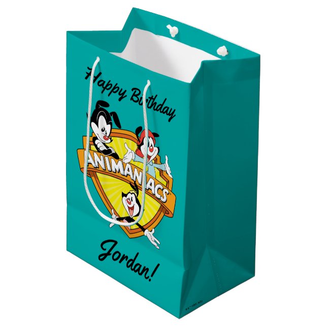 Sac Cadeau Moyen Animaniacs | Warner Brothers & Sister WB Shield (Devant Angle)