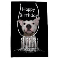 Anniversaire blanc de Pitbull