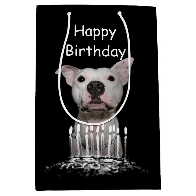 Sac Cadeau Moyen Anniversaire blanc de Pitbull (Devant)