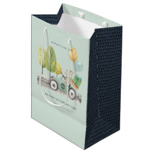 Sac Cadeau Moyen Aqua Green N'importe quel âge Anniversaire Fête Te