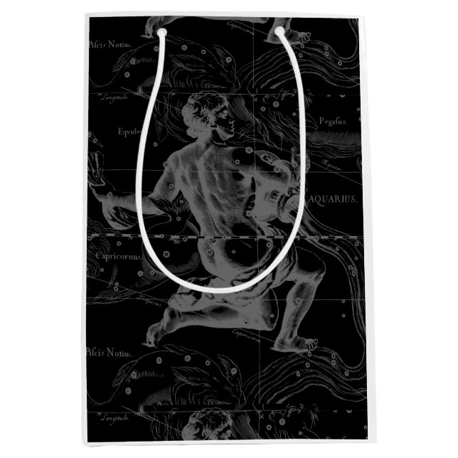 Sac Cadeau Moyen Aquarius Zodiac Constellation Engraving Hevelius (Devant)