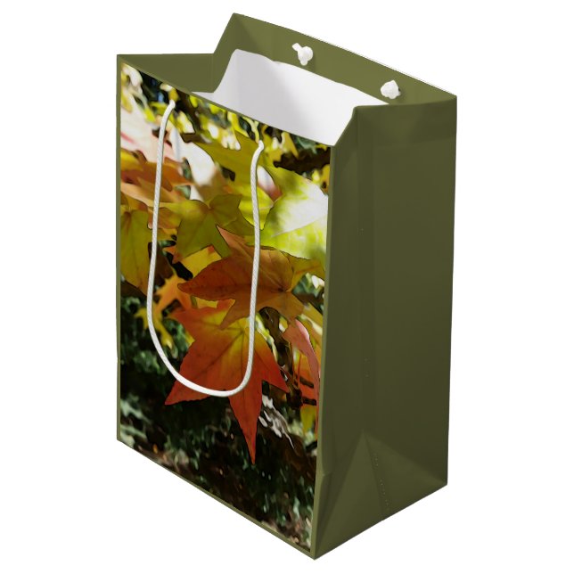 Sac Cadeau Moyen Autumn shades (Devant Angle)