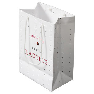 Sac Cadeau Moyen Baby shower Little Ladybug
