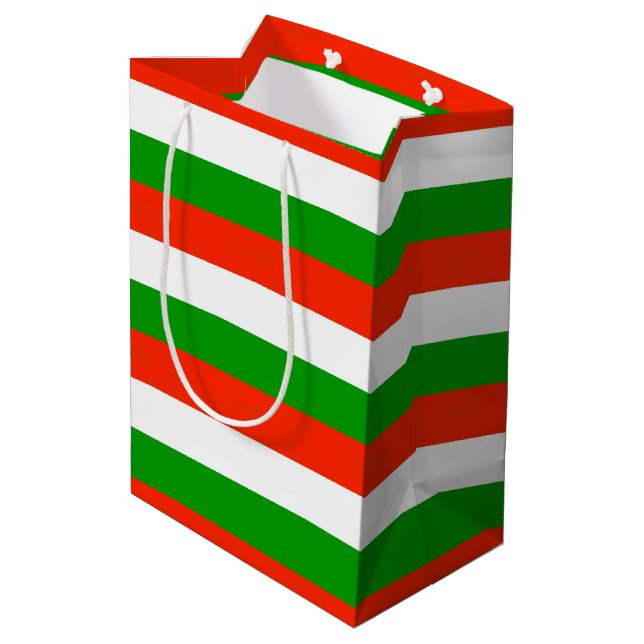 Sac Cadeau Moyen Bandes rouges, vertes et blanches (Dos Angle)