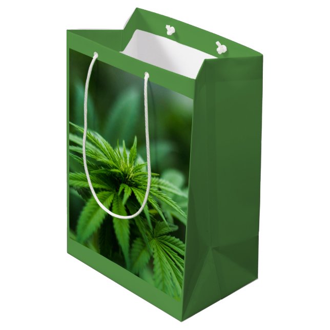 Sac Cadeau Moyen Beau Plante (Dos Angle)