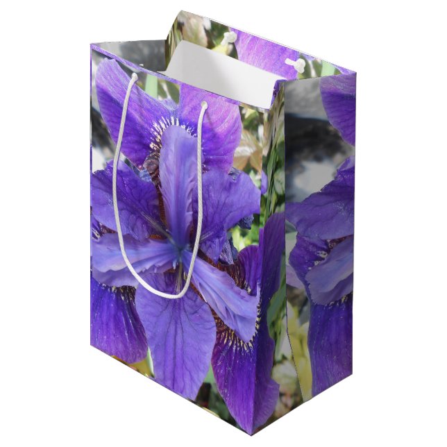 Sac Cadeau Moyen Brandeis (Devant Angle)