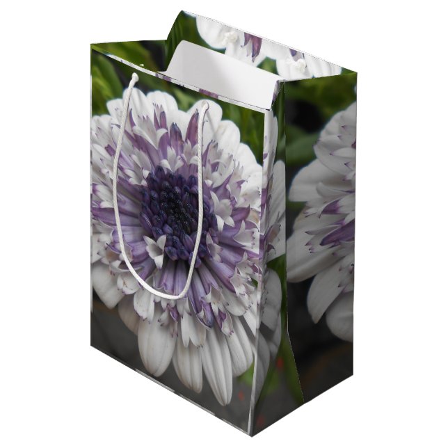 Sac Cadeau Moyen Brett (Devant Angle)