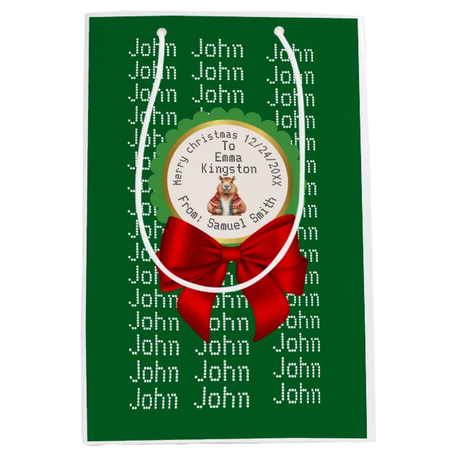 Sac Cadeau Moyen CAPYBARA green XMAS NAME EDITABLE  (Devant)