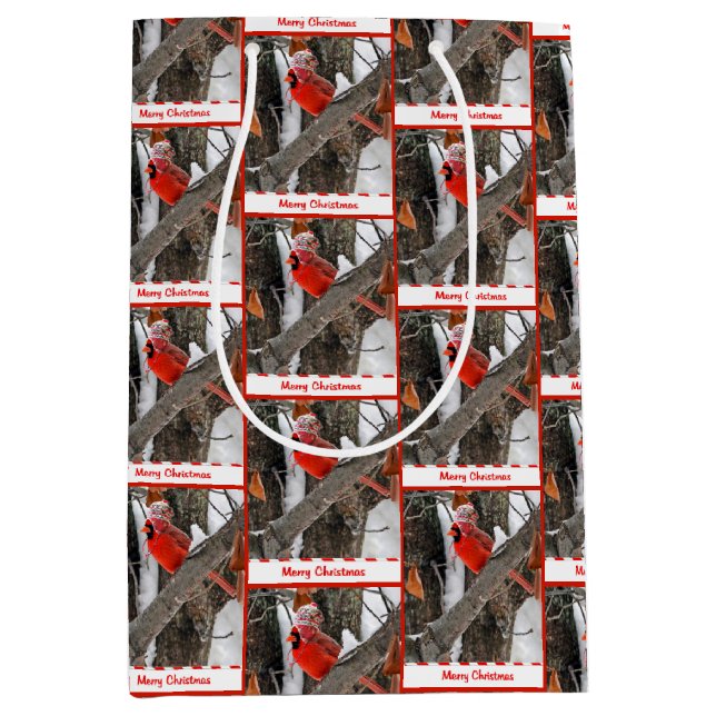 Sac Cadeau Moyen Cardinal de Noël avec Casquette de stockage (Devant)