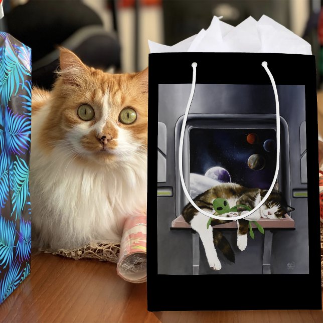 Sac Cadeau Moyen Chat tabby vaisseau spatial Peluche extraterrestre (Créateur téléchargé)