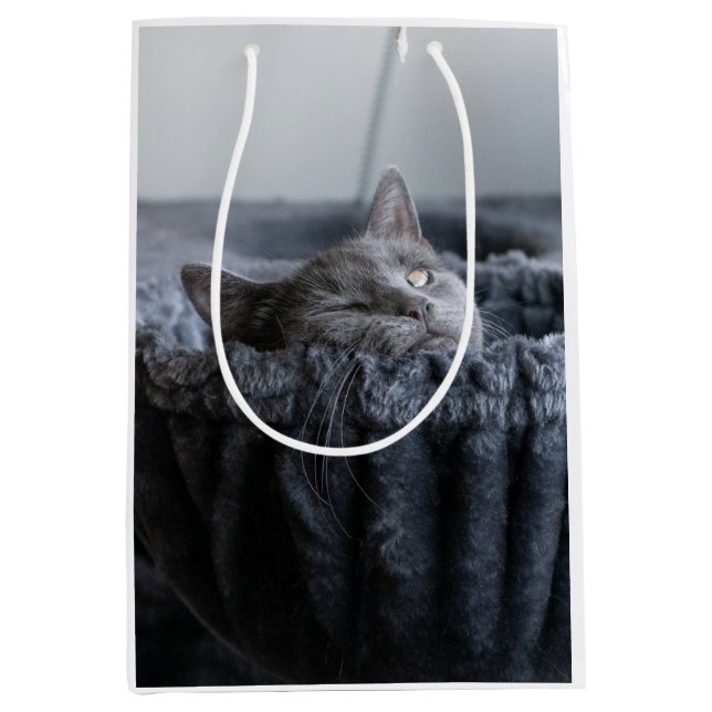 Sac Cadeau Moyen Chaussettes pour chiots (Devant)