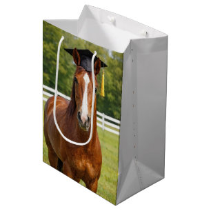 Sac Cadeau Moyen Cheval portant une toque de remise de diplômes