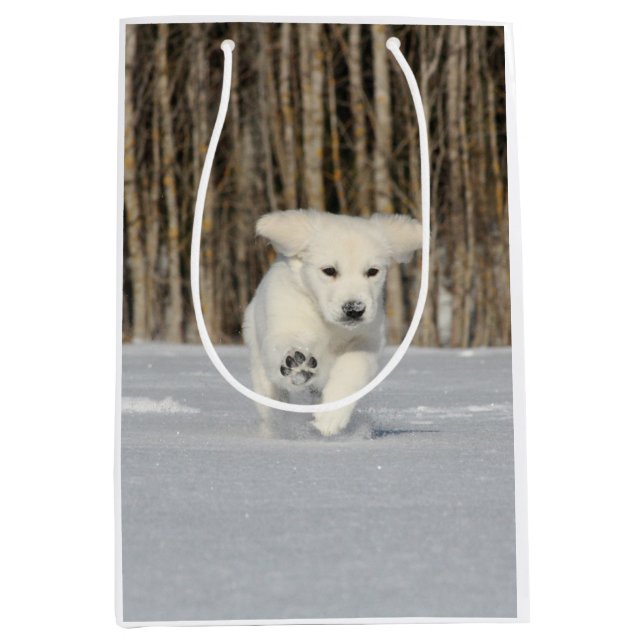 Sac Cadeau Moyen Chiot blanc Golden Retriever en neige (Devant)