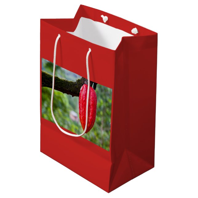 Sac Cadeau Moyen cocod (Devant Angle)